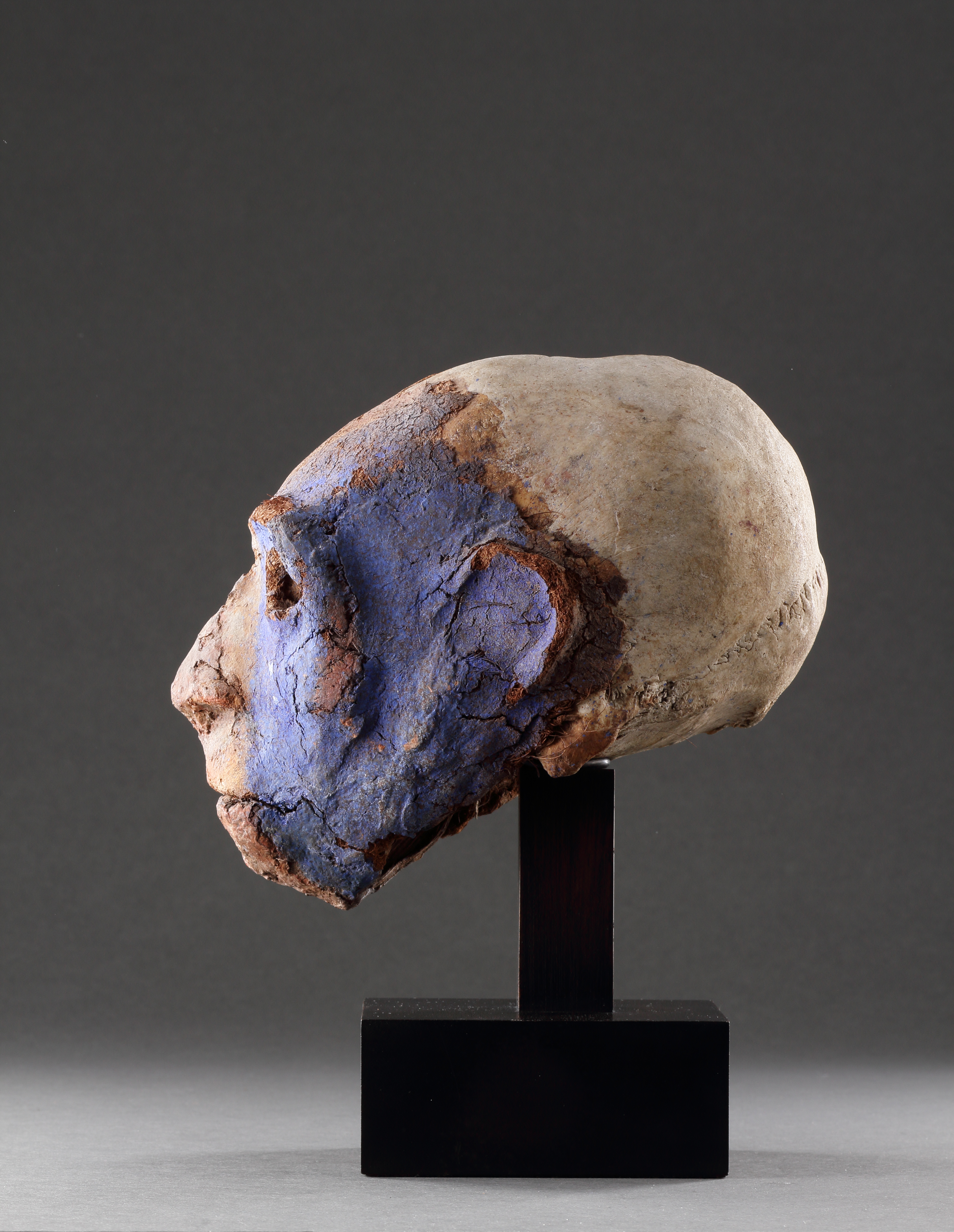 A Superb Malakula Elongated Head 